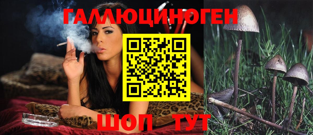 Галлюциногенные грибы Magic Shrooms  Псилоцибиновые грибы MAGIC MUSHROOMS  Вход с VPN  сколько стоит  Пушкино 